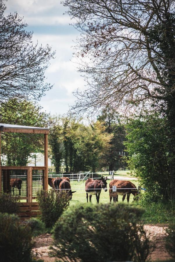 Le Village De Cottages - Le Pole Du Cheval Et De L'Ane Lignieres  Luaran gambar